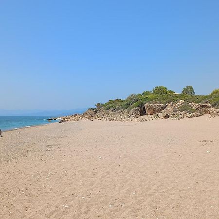 Tzanetos Seaside Villa Kyparissia Bagian luar foto